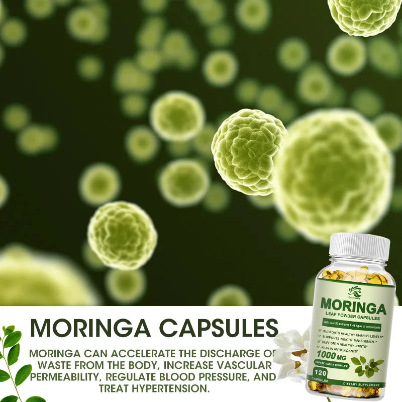 Moringa Extract Capsules - Superfood for Weight Loss, Metabolism & Wellness Support