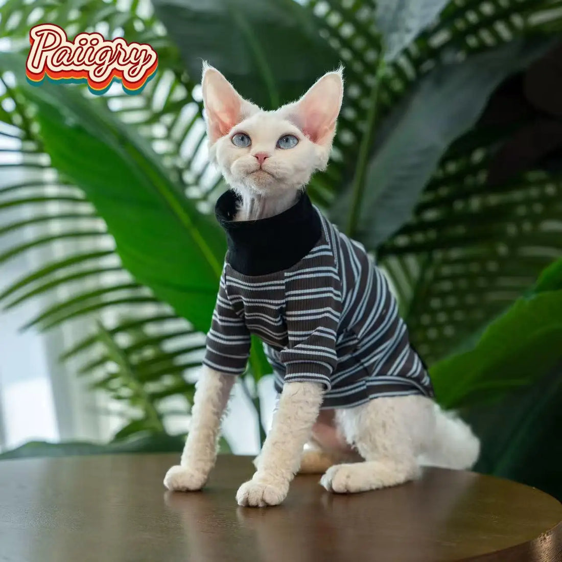 Cat High-Neck T-Shirt – Summer Pet Clothes for Devon, Sphynx & Hairless Cats