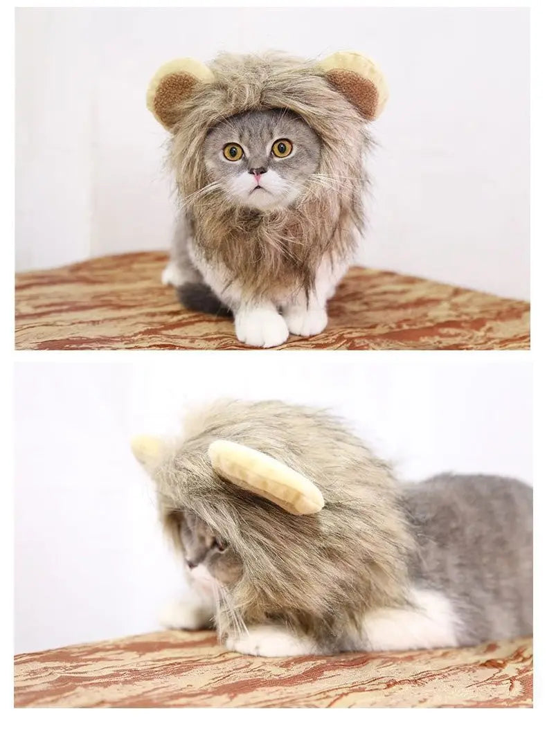 Cat Hat Costume – Cute Warm Cap with Adjustable Soft Headwear for Small Pets