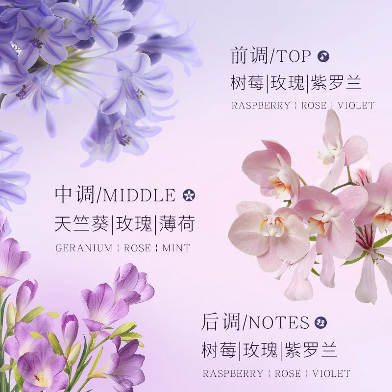 Splendide Encounter Purple Meets Eau de Parfum - Light Floral Natural Spray Perfume (50ml)
