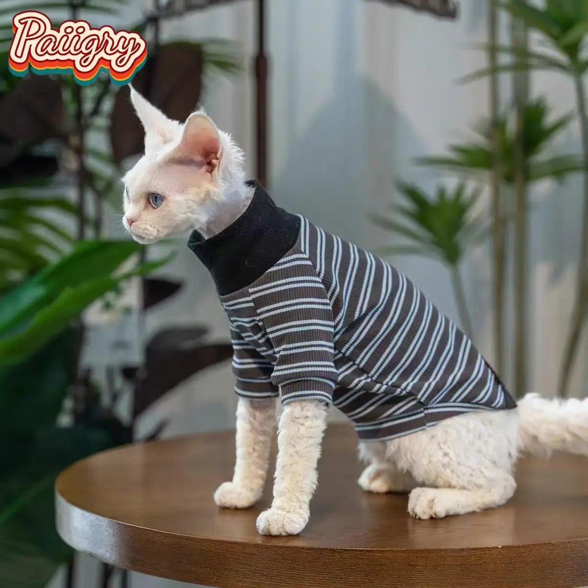 Cat High-Neck T-Shirt – Summer Pet Clothes for Devon, Sphynx & Hairless Cats