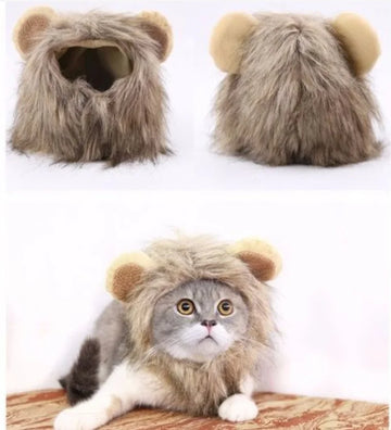 Cat Hat Costume – Cute Warm Cap with Adjustable Soft Headwear for Small Pets