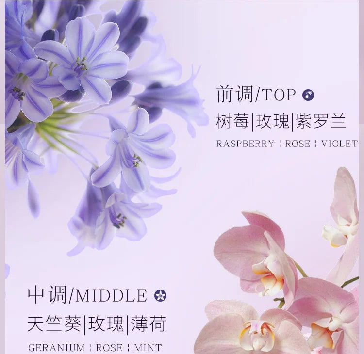 Splendide Encounter Purple Meets Eau de Parfum - Light Floral Natural Spray Perfume (50ml)