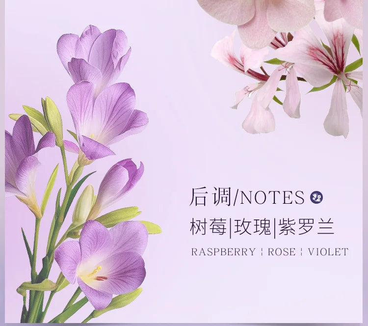 Splendide Encounter Purple Meets Eau de Parfum - Light Floral Natural Spray Perfume (50ml)