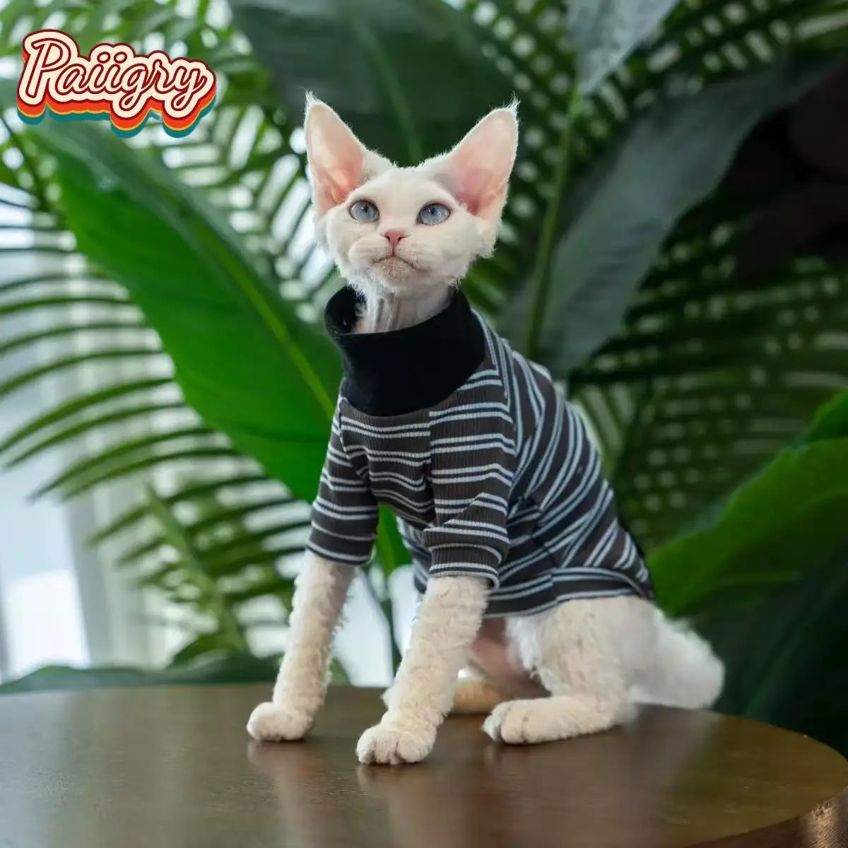 Cat High-Neck T-Shirt – Summer Pet Clothes for Devon, Sphynx & Hairless Cats