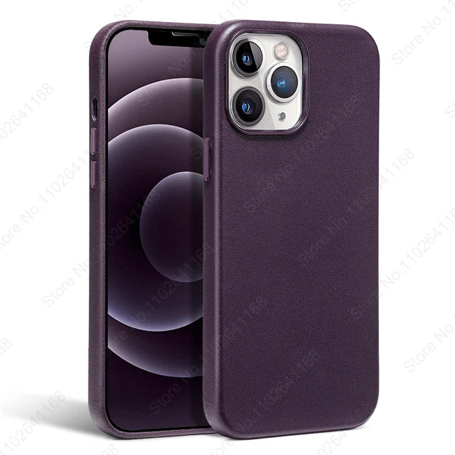 Animated Leather Case for iPhone 16/15/14/13 Pro Max - MagSafe Compatible