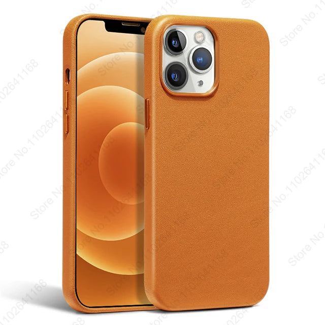 Animated Leather Case for iPhone 16/15/14/13 Pro Max - MagSafe Compatible