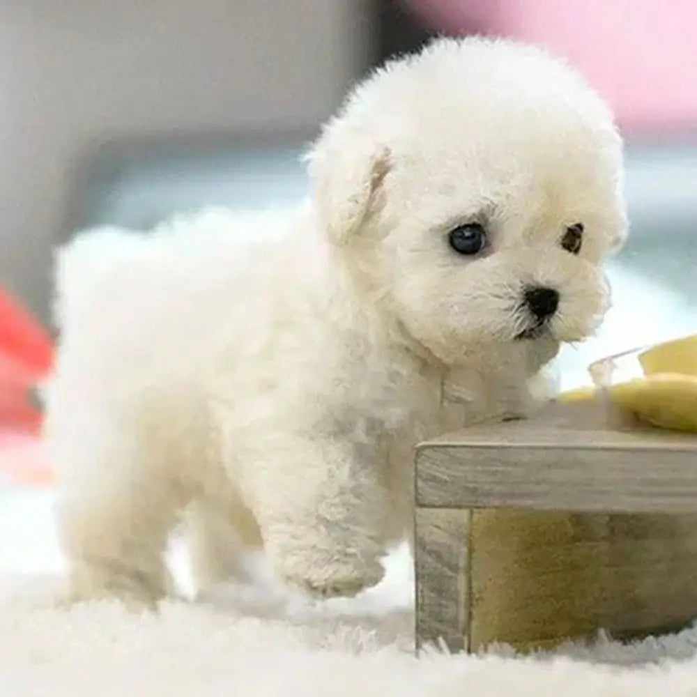 2025  Fashion Plush Robot Puppy Interactive Walking Simulated Puppy Barking Tail Wagging Educational Gift Chilren