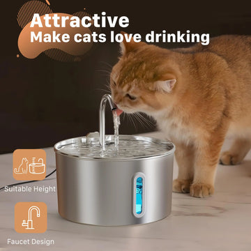 Cat Water Fountain – Automatic Stainless Steel Feeder with Visible Water Level