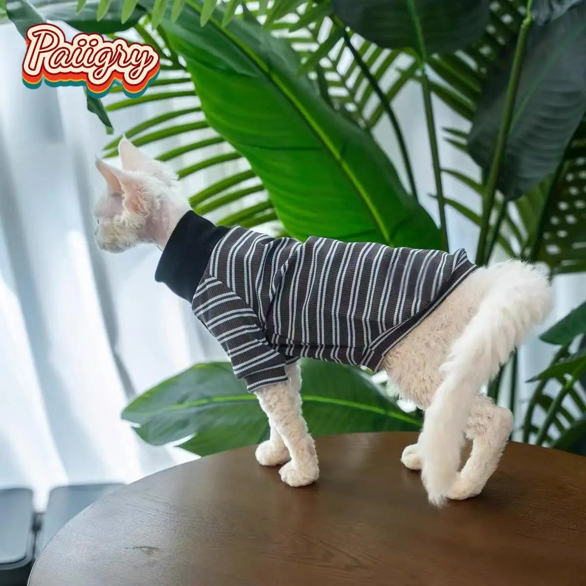 Cat High-Neck T-Shirt – Summer Pet Clothes for Devon, Sphynx & Hairless Cats