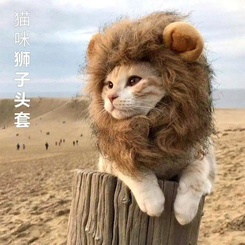 Cat Hat Costume – Cute Warm Cap with Adjustable Soft Headwear for Small Pets