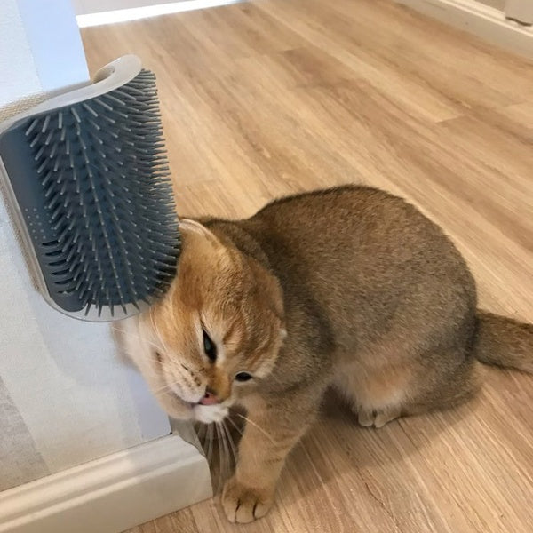 Cat Self-Grooming Wall Corner Brush – Soft Rubber Massage Comb with Catnip